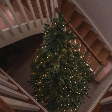 Big In Sea Lapland *