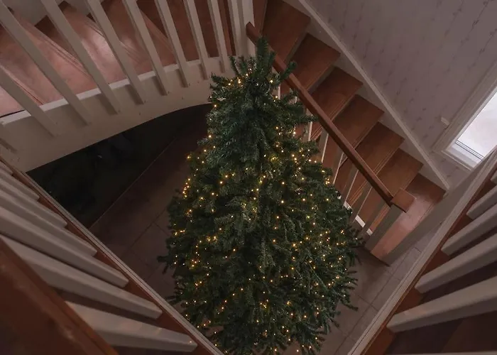 Big In Sea Lapland *